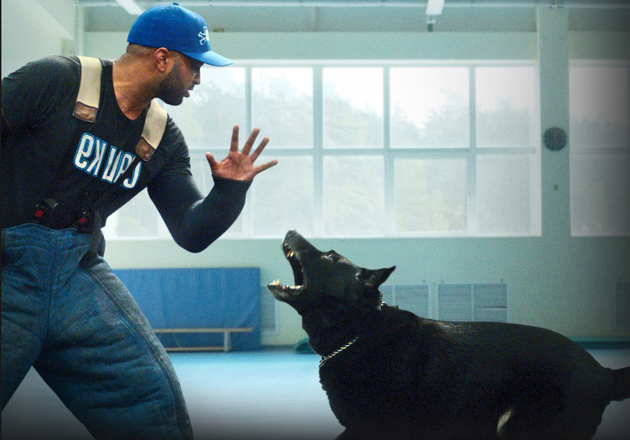 Canine Intervention (2021) -n- - CALI K9 (2021) สุนัขบำบัด