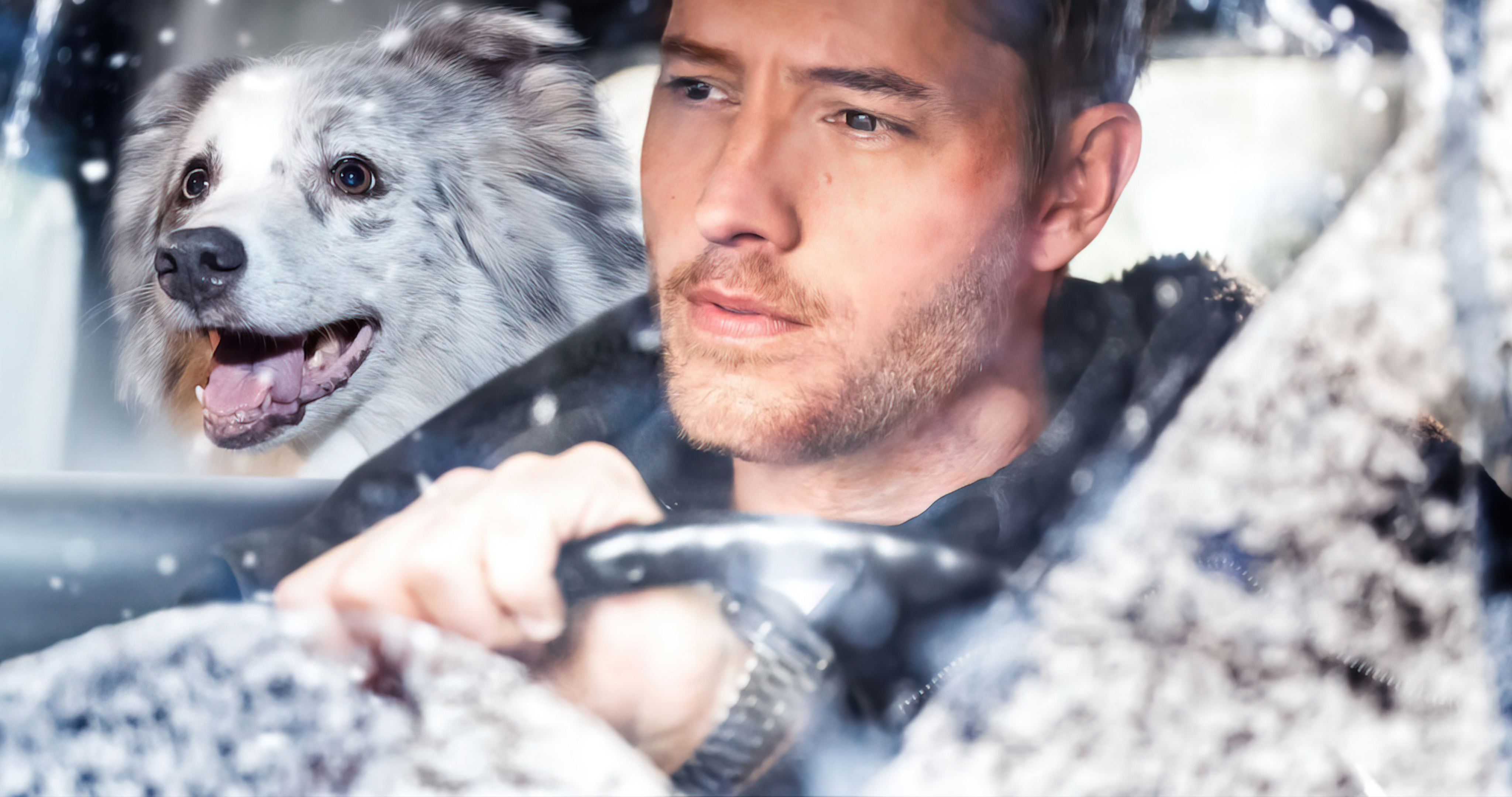 The Noel Diary (2022)  - The Noel Diary (2022) บันทึกของโนเอล