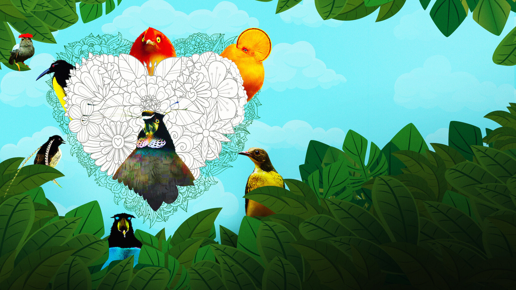 Dancing with the Birds Season 1(2019)  - Dancing with the Birds (2019) นกน้อยเริงระบำรัก