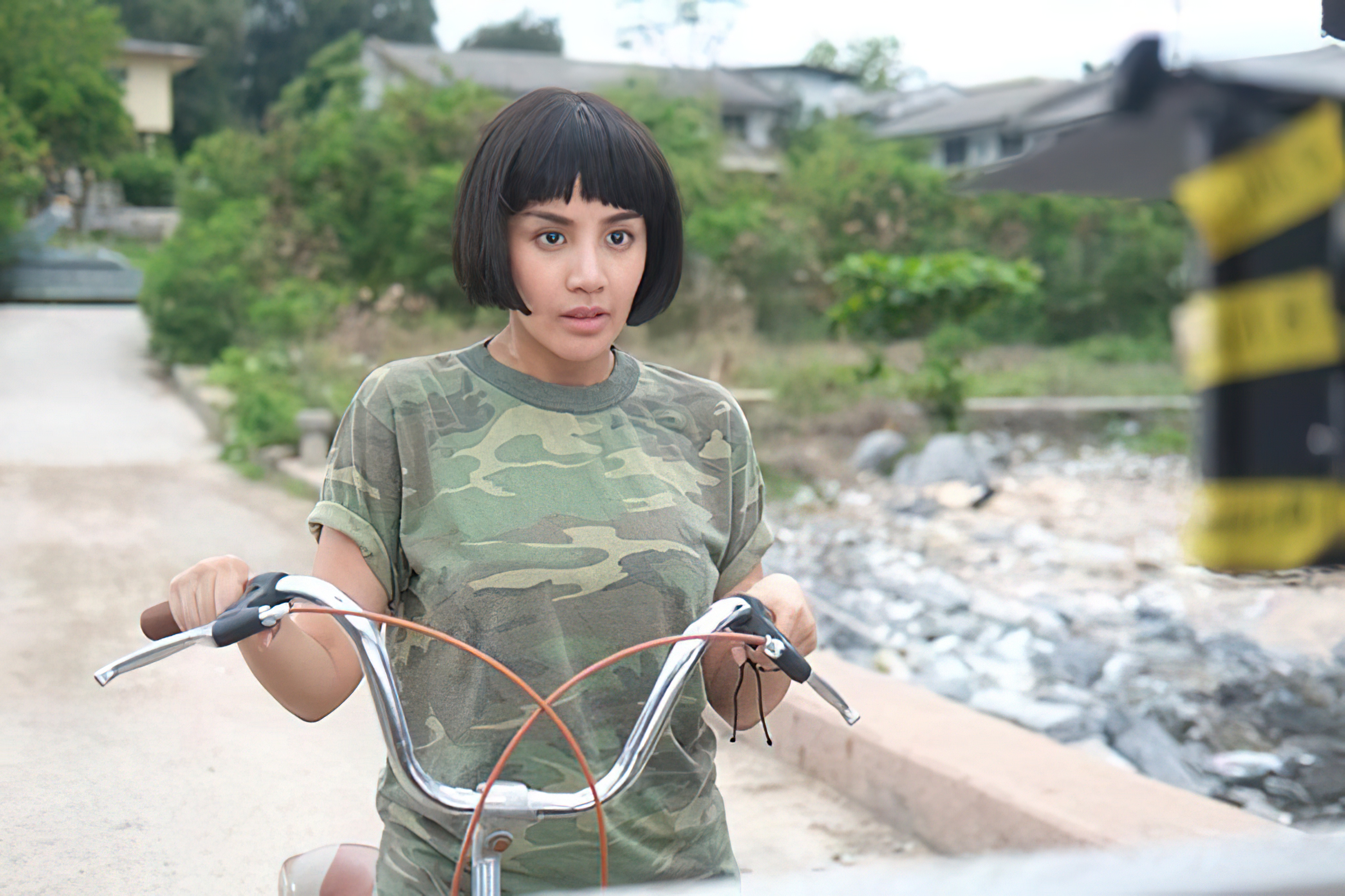 ดอกฟ้า หมาแจ๊ส  - ดอกฟ้า หมาแจ๊ส