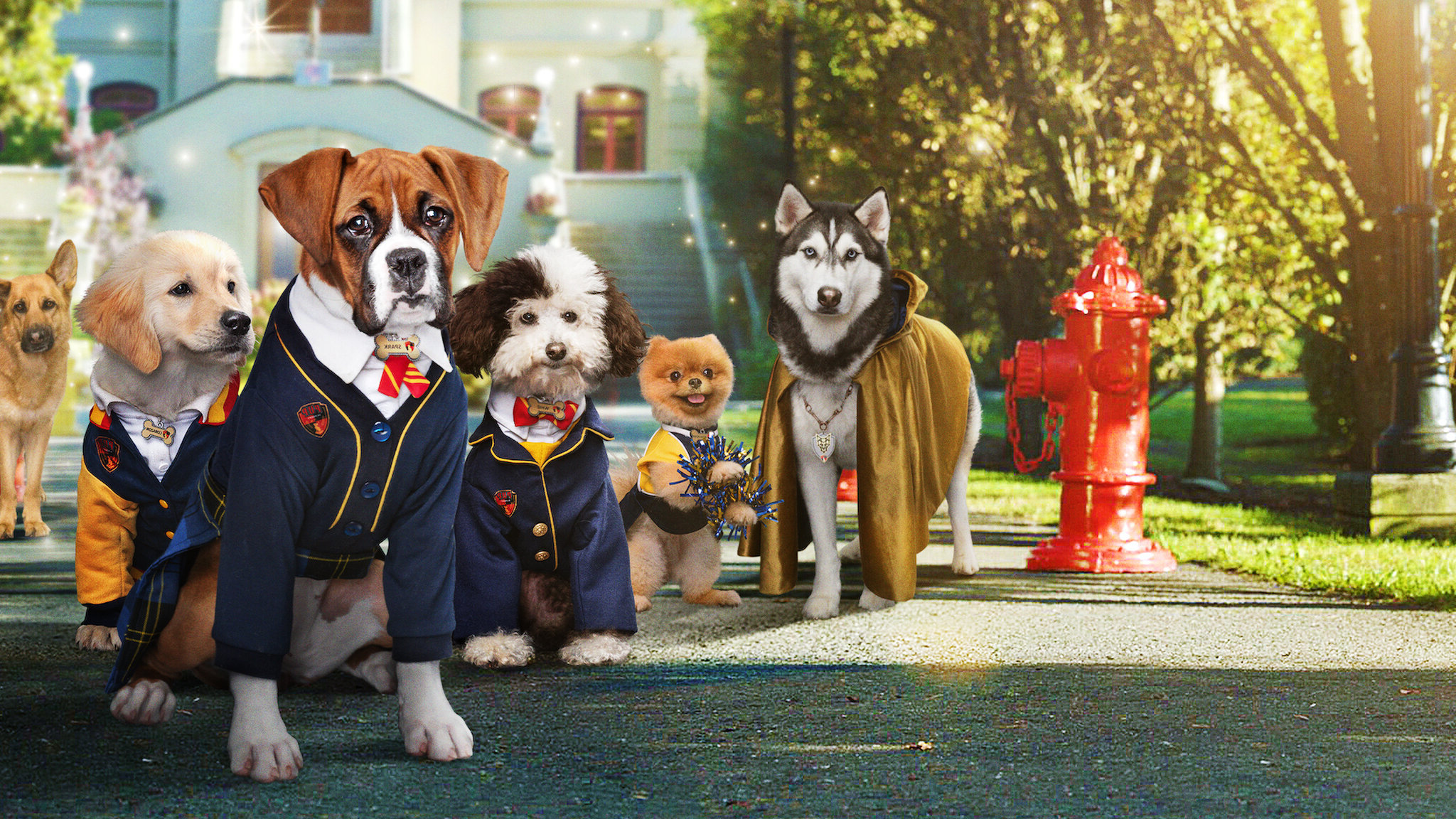 Pup Academy Season 2 (2020)  - Pup Academy Season 2 (2020) โรงเรียนน้องตูบ