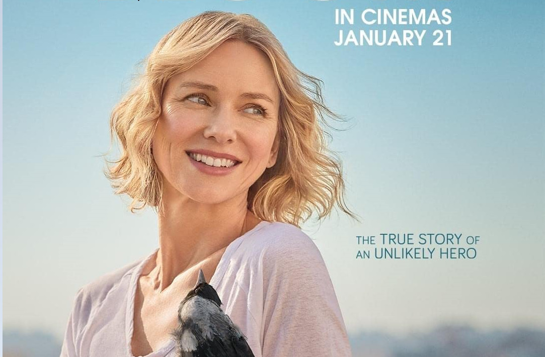 Penguin Bloom (2020) -n- - Penguin Bloom (2020)