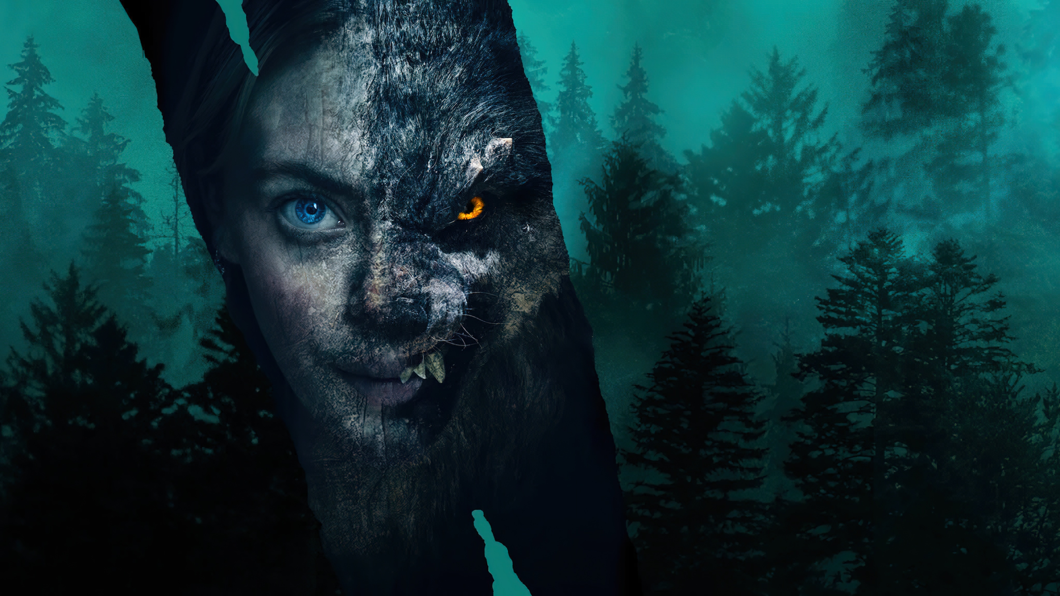 Viking Wolf (2022) - Viking Wolf (2022) หมาป่าไวกิ้ง