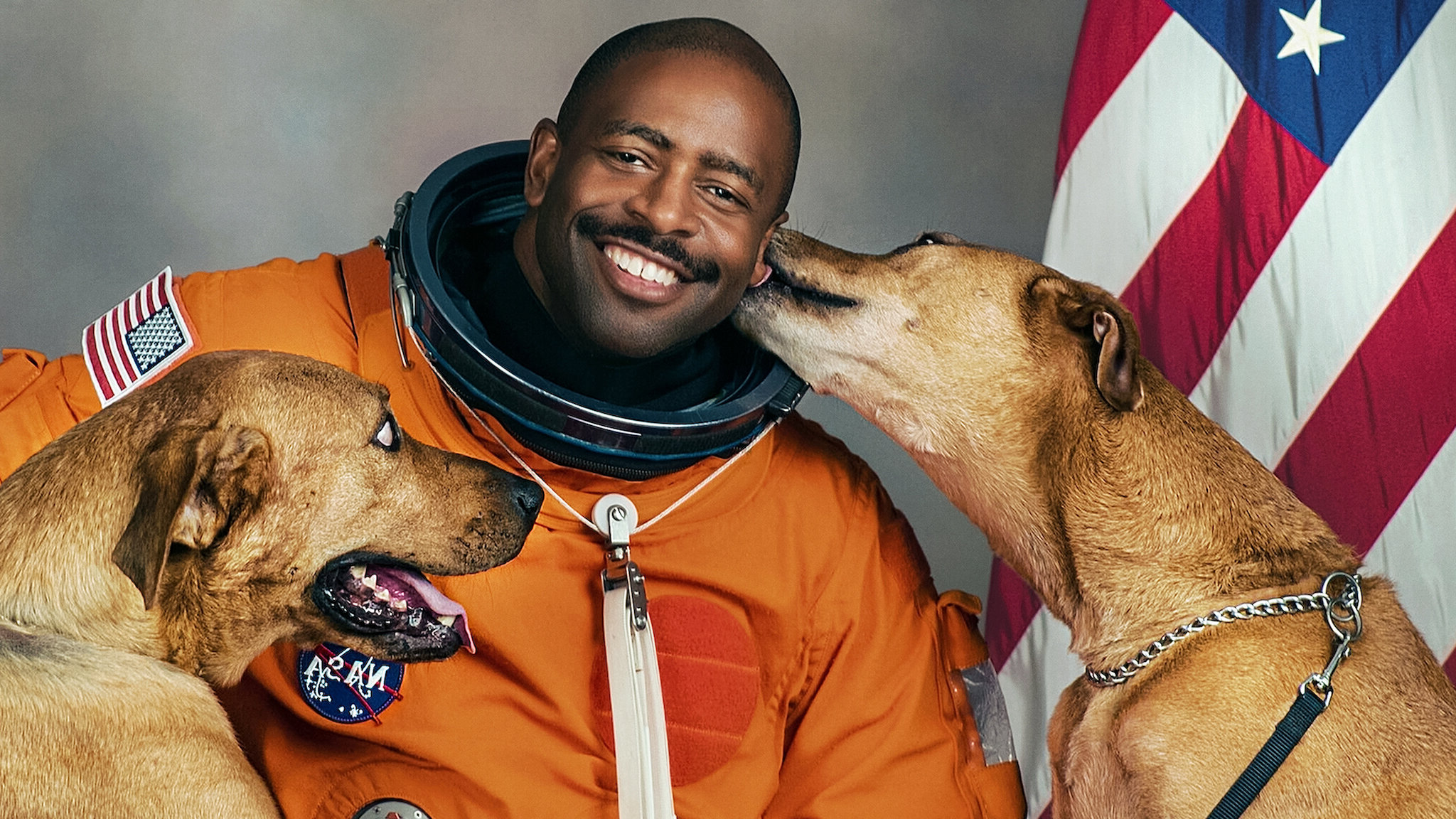 Dogs Season 2 (2021)  - Dogs Season 2 (2021) เพื่อนแท้สี่ขา