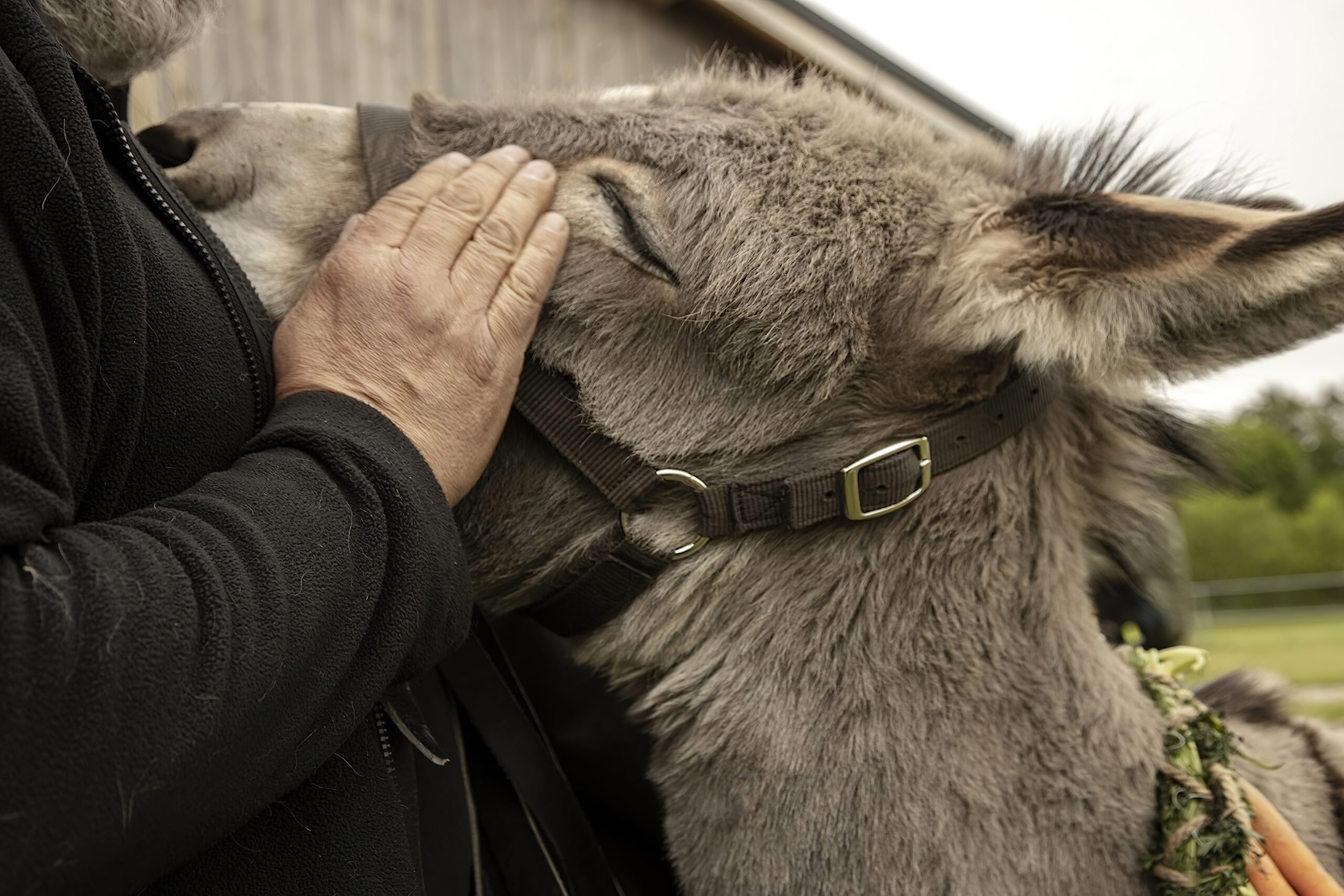 EO (2022) - EO (2022)