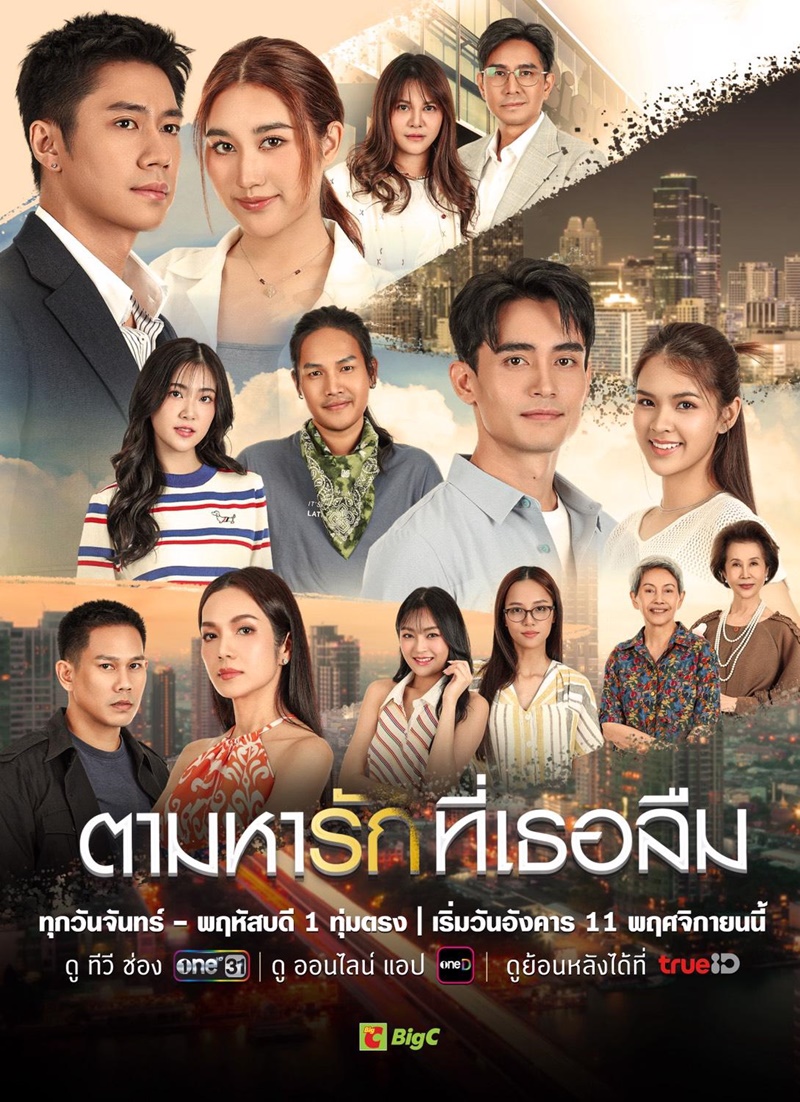 ตามหารักที่เธอลืม 1-25 (จบแล้ว)